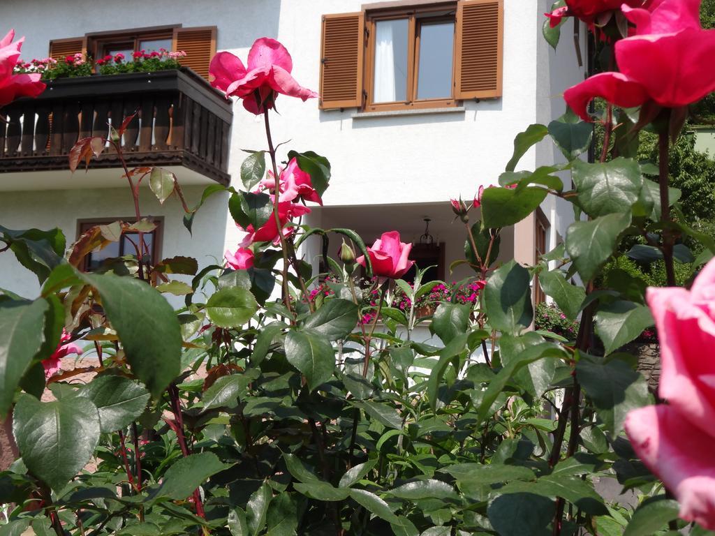 Aparthotel Schuetzenhof Sattendorf Zewnętrze zdjęcie